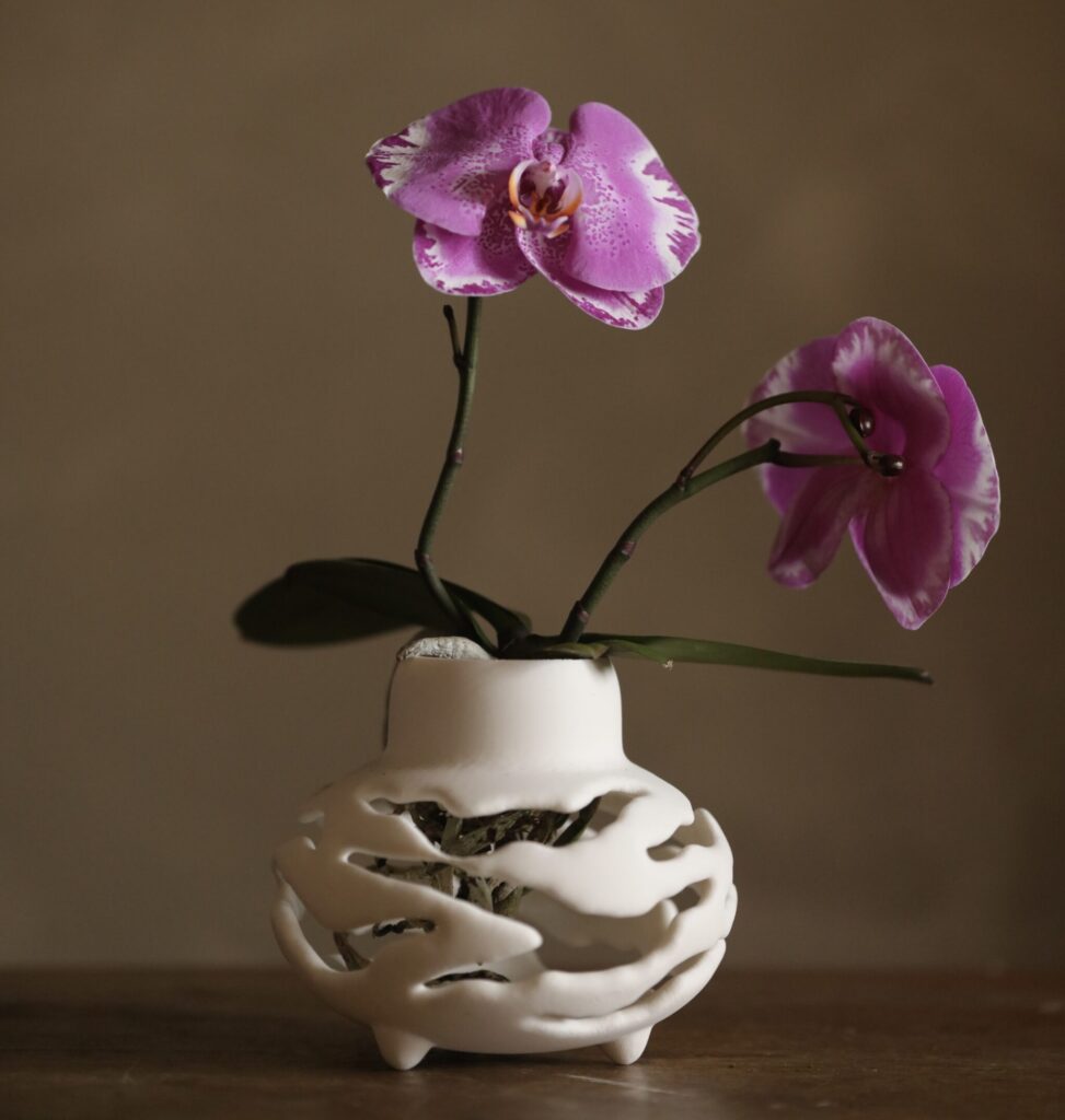 Macetas Orquídeas RootsFlow