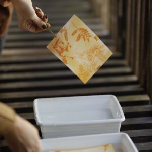 Taller de Impresión Vegetal: Antotipia y Gyotaku Botánico (20/09/2025)