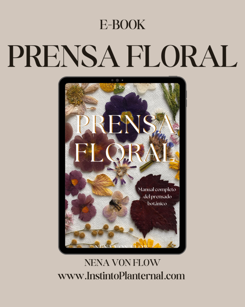 Ebook Prensa Floral: Manual completo del prensado botánico