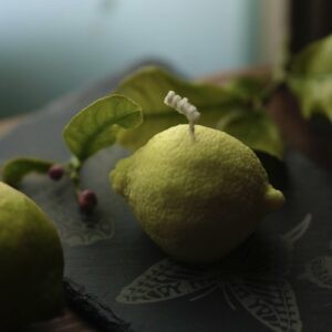 Vela Limón- Antimosquitos