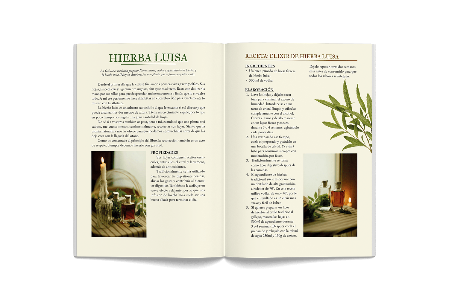 consciente naturalmente libro extractos01KZDPD7RJF15YW3DX2R2FFVV8_1786092363