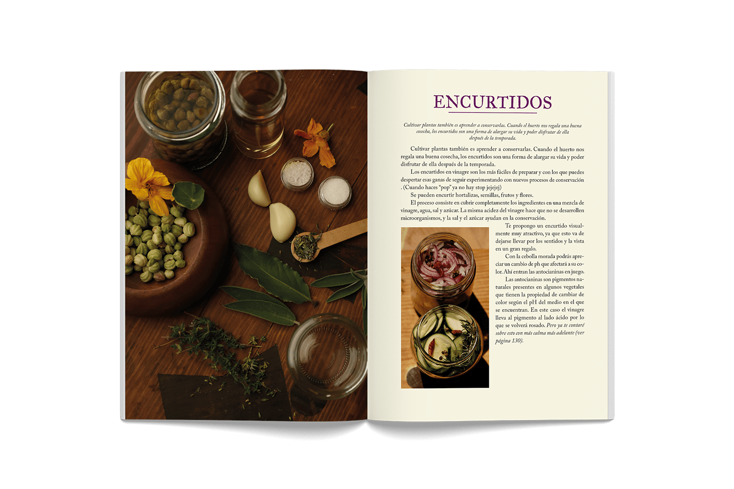 consciente naturalmente libro extractos01KZDPD7YT74GP6PJEAZRXJAVD_1786092363