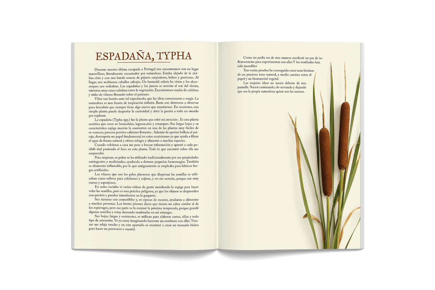 consciente naturalmente libro extractos01KZNW7HZPCEM7G5S3DCSRAJ1T_1786366904