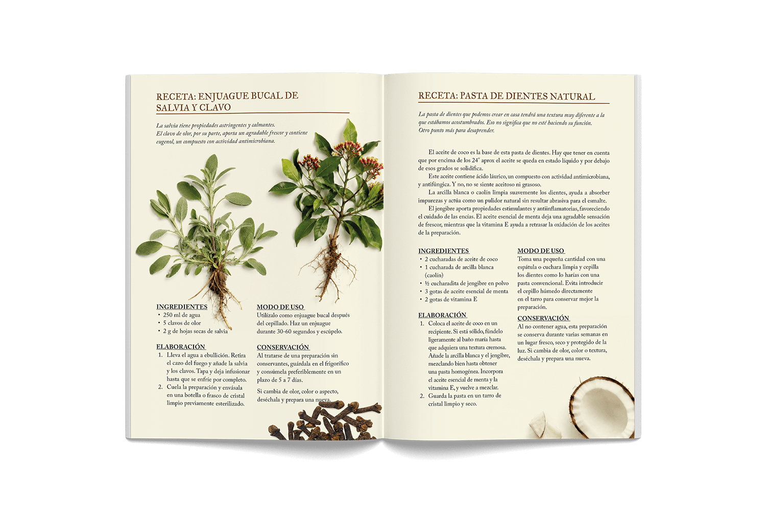 consciente naturalmente libro extractos01KZNW7JA17QTYSVBVMSV7Q3JH_1786366904