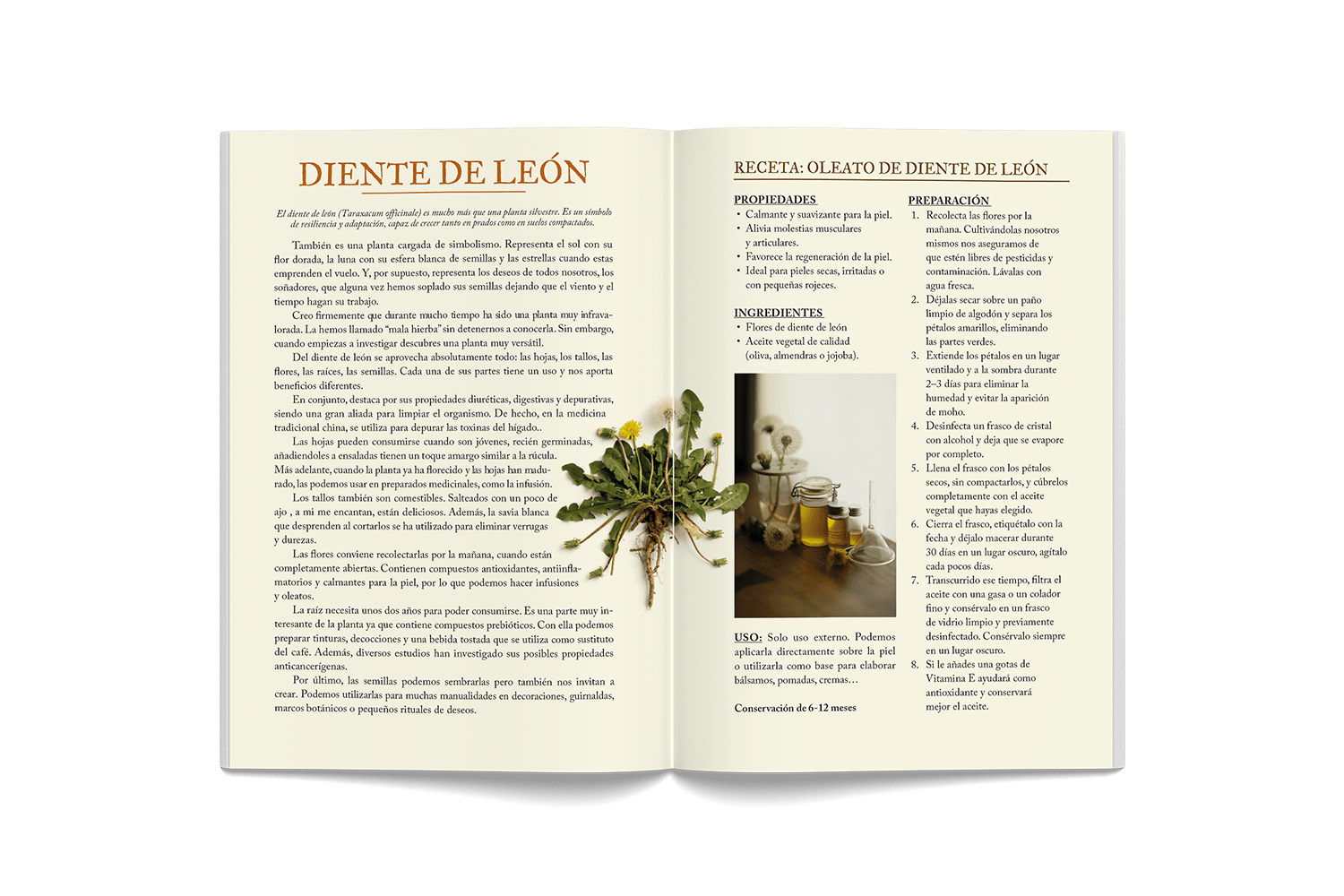 consciente naturalmente libro extractos01KZNW7JGVKEXAMBQE16J409Y5_1786366904